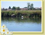 Eswars_24.06.2010 (1)